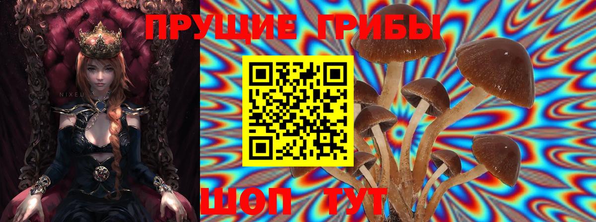 Псилоцибиновые грибы MAGIC MUSHROOMS Оренбург