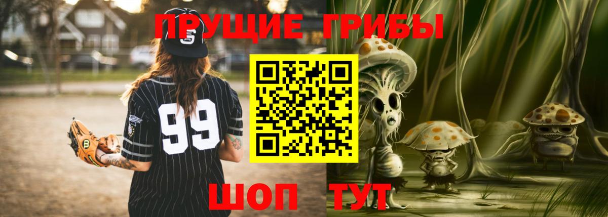 где можно купить   Вход с VPN  Оренбург  Галлюциногенные грибы Psilocybe 